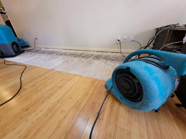 Reliable Basement Flood Cleanup contractor in Concordia, KS by Hirex Water Damage