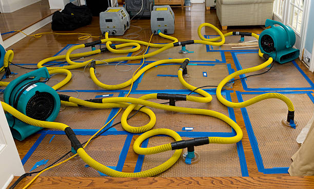 Professional Basement Flood Cleanup technician working in Concordia, KS
